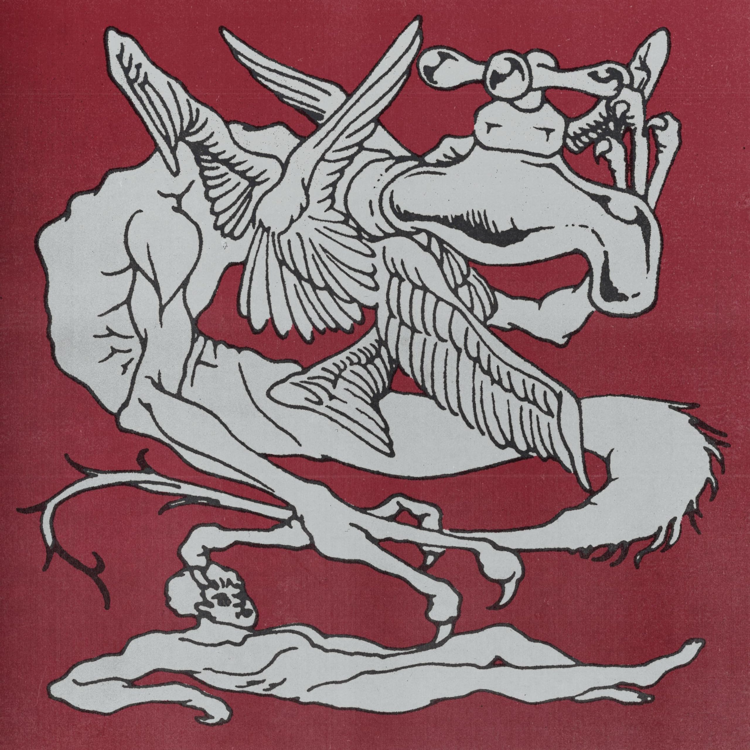 Image Cover